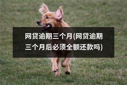 网贷逾期三个月(网贷逾期三个月后必须全额还款吗)