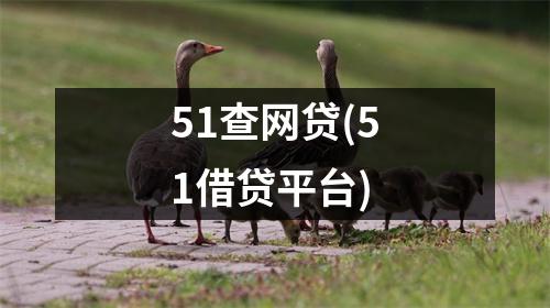 51查网贷(51借贷平台)