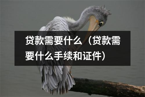 贷款需要什么（贷款需要什么手续和证件）