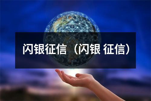 闪银征信（闪银 征信）