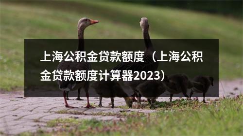 上海公积金贷款额度（上海公积金贷款额度计算器2023）