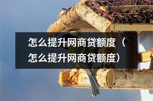 怎么提升网商贷额度(怎么提升网商贷额度)