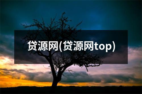 贷源网(贷源网top)