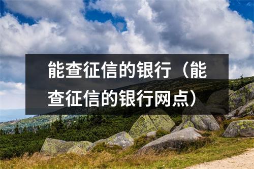 能查征信的银行（能查征信的银行网点）