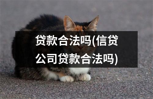 贷款合法吗(信贷公司贷款合法吗)