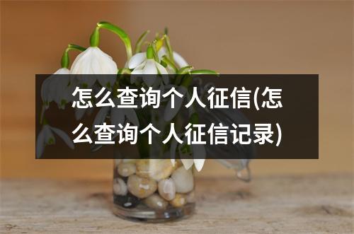 怎么查询个人征信(怎么查询个人征信记录)