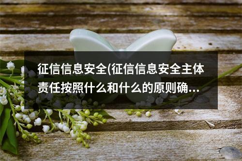 征信信息安全(征信信息安全主体责任按照什么和什么的原则确定)