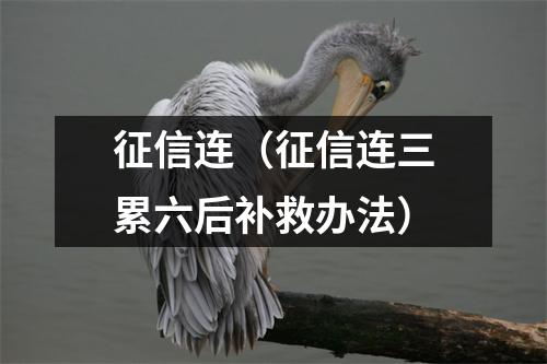 征信连（征信连三累六后补救办法）