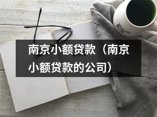 南京小额贷款（南京小额贷款的公司）