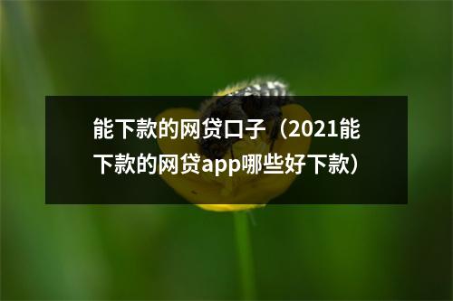 能下款的网贷口子（2021能下款的网贷app哪些好下款）