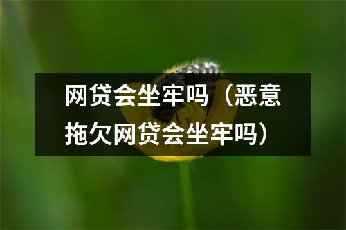 网贷会坐牢吗(恶意拖欠网贷会坐牢吗)