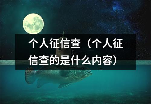 个人征信查（个人征信查的是什么内容）