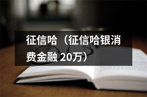 征信哈(征信哈银消费金融 20万)