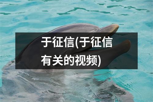 于征信(于征信有关的视频)