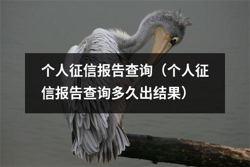 个人征信报告查询（个人征信报告查询多久出结果）