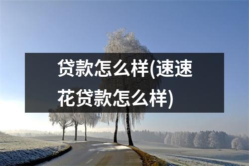 贷款怎么样(速速花贷款怎么样)