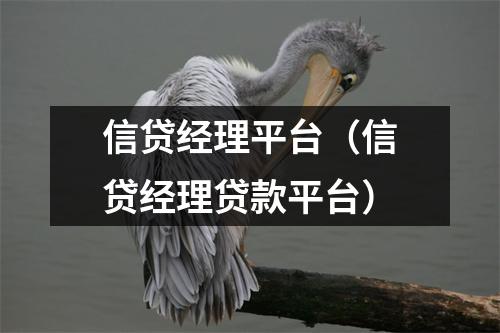 信贷经理平台（信贷经理贷款平台）