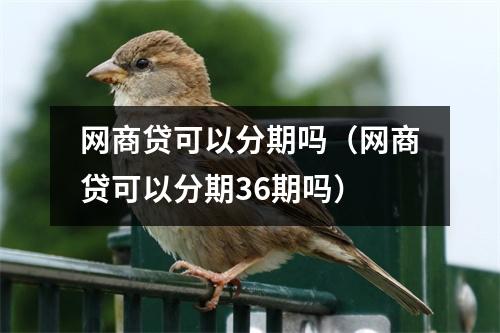 网商贷可以分期吗（网商贷可以分期36期吗）