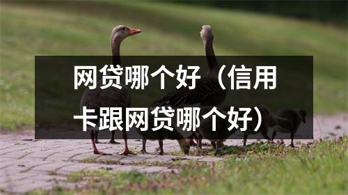 网贷哪个好（信用卡跟网贷哪个好）