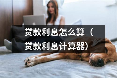 贷款利息怎么算（贷款利息计算器）