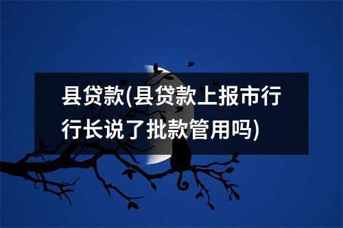 县贷款(县贷款上报市行行长说了批款管用吗)