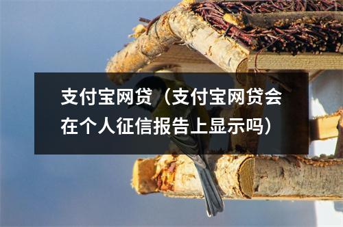 支付宝网贷(支付宝网贷会在个人征信报告上显示吗)