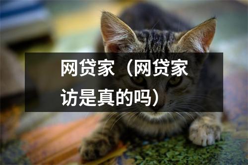 网贷家（网贷家访是真的吗）