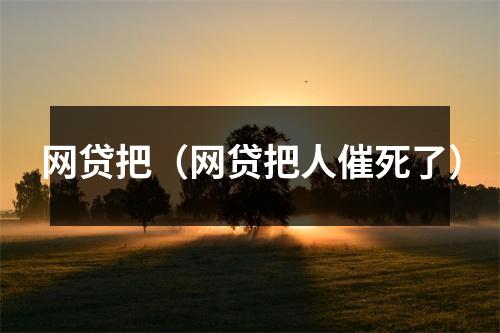网贷把（网贷把人催死了）