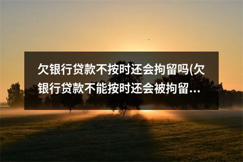 欠银行贷款不按时还会拘留吗(欠银行贷款不能按时还会被拘留吗)