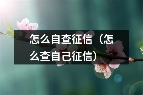 怎么自查征信（怎么查自己征信）