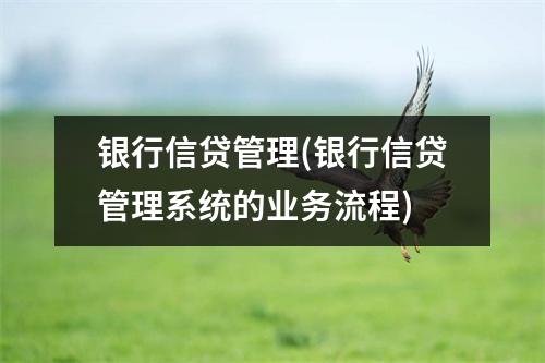 银行信贷管理(银行信贷管理系统的业务流程)