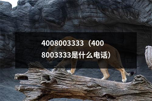 4008003333(4008003333是什么电话)