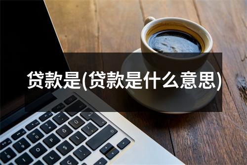 贷款是(贷款是什么意思)