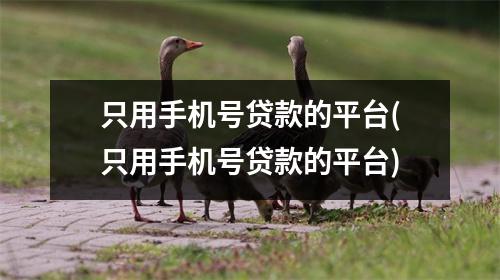只用手机号贷款的平台(只用手机号贷款的平台)