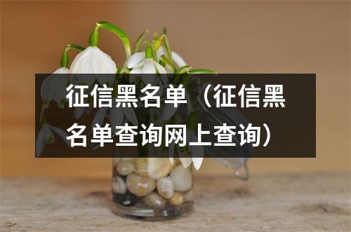 征信黑名单（征信黑名单查询网上查询）