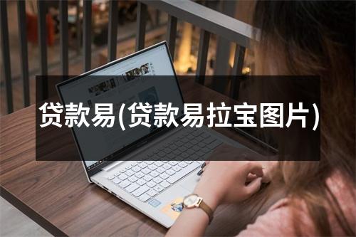 贷款易(贷款易拉宝图片)