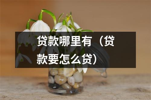 贷款哪里有(贷款要怎么贷)