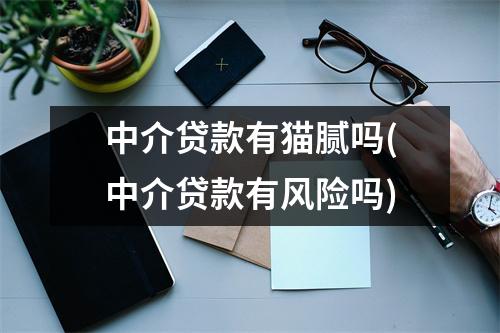 中介贷款有猫腻吗(中介贷款有风险吗)