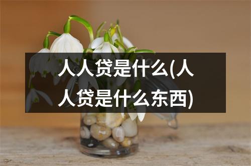 人人贷是什么(人人贷是什么东西)