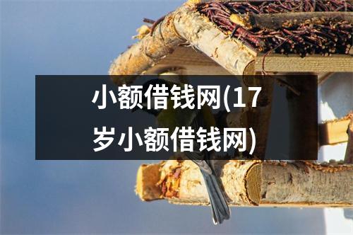 小额借钱网(17岁小额借钱网)