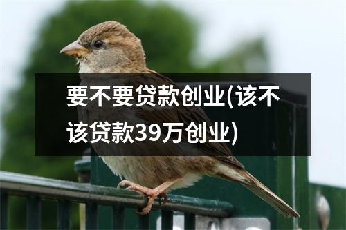 要不要贷款创业(该不该贷款39万创业)