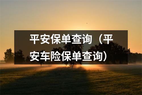 平安保单查询（平安车险保单查询）
