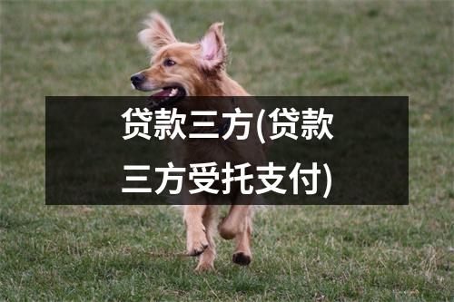 贷款三方(贷款三方受托支付)