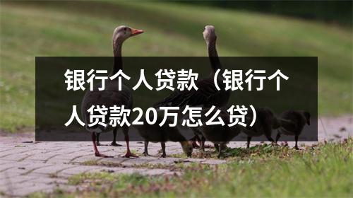 银行个人贷款（银行个人贷款20万怎么贷）