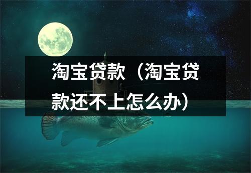 淘宝贷款(淘宝贷款还不上怎么办)