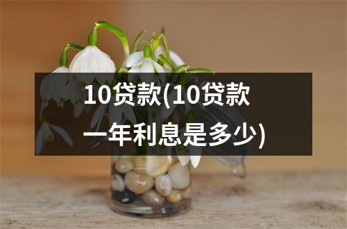 10贷款(10贷款一年利息是多少)