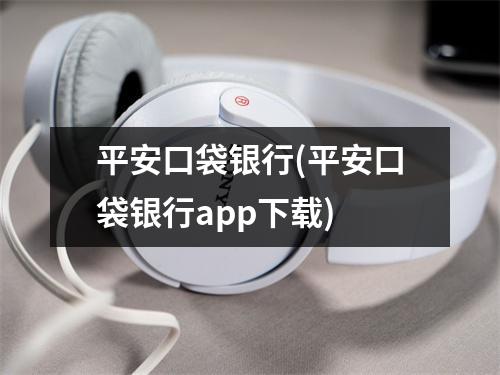 平安口袋银行(平安口袋银行app下载)