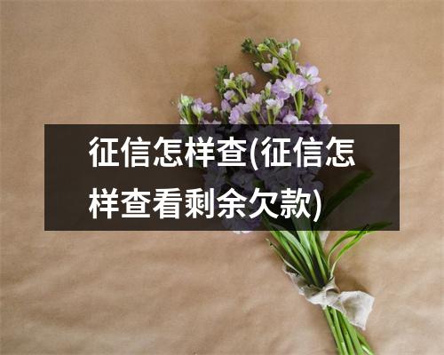 征信怎样查(征信怎样查看剩余欠款)