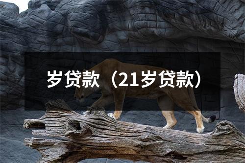 岁贷款(21岁贷款)