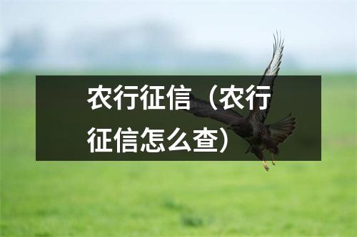 农行征信(农行征信怎么查)